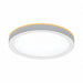 LED Flush Mount Plastic Polycarbonate