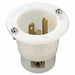 Receptacle White 15 A Rectangular 5-15P