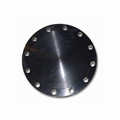 Blind Flange Carbon Steel 10 NPS