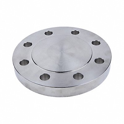 Blind Flange 316L SS 10 NPS