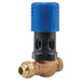 Backflow Preventer Size 1/2 100 psi