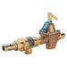 Backflow Preventer Size 1/2 100 psi