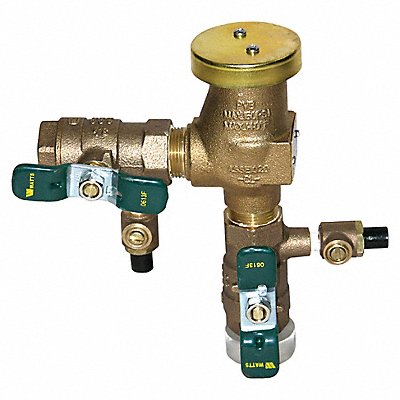 Backflow Preventer Size 1/2 150 psi