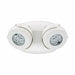 Emergency Light Head LED 5 W 2 Lamps