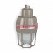 Metal Halide Light Fixture With 2PDC8