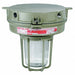 HPS Light Fixture With 2PDE4 And 2PDG7