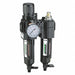 FRL 2 pcs 1/4 NPT 5 micron 51 cfm