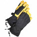 Ski Gloves M PR