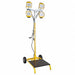 Cart Light Corded 22000lm LED