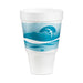 CUP,32OZ,HORIZN,20/25