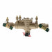 Backflow Preventer Bronze NPT