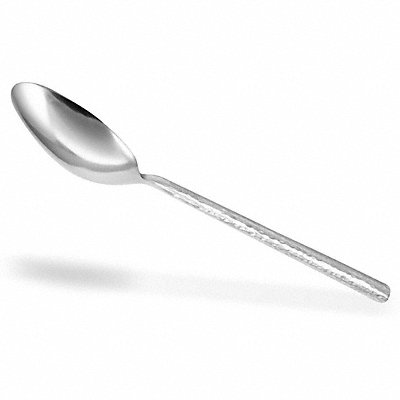 Serving Spoon 9 1/2 in L Silver