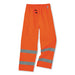 PANTS,8915 HI-VIS,OR,XL