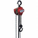 Lever and Manual Chain Hoists