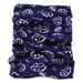 BAND,6485 NAVY WESTERN