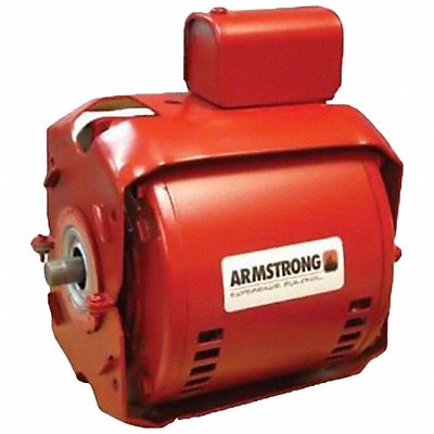 Pump Motor 1/6 hp 115V AC