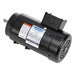 DC Permanent Magnet Motors
