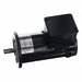 DC Permanent Magnet Motors