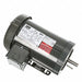 Vector Motors
