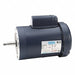 Pump Motors