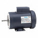 Pump Motors