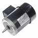 Pump Motors