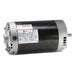 Pump Motors