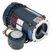 Hazardous Location Motors