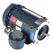 Hazardous Location Motors