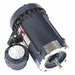 Hazardous Location Motors
