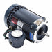 Hazardous Location Motors