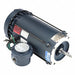 Hazardous Location Motors