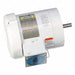 Washdown Motors