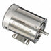Washdown Motors