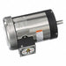 Washdown Motors