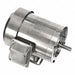 Washdown Motors