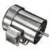 Washdown Motors