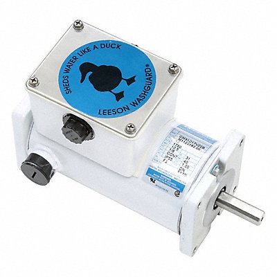 Washdown Motors