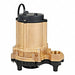 Effluent Pumps