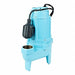 Sewage Ejector Pumps