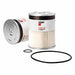 Automotive Oil Fuel and Fluid Filters