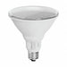 Compact LED Light Bulbs and Lamps