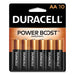 BATTERY,AA,CPPRTP,10/PK