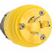 Locking Plugs