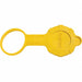 Locking Device Covers and Caps