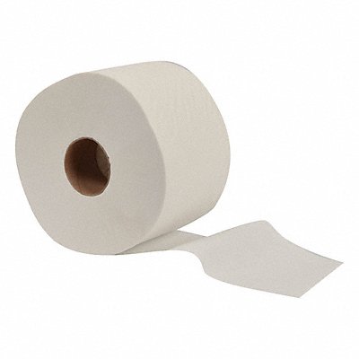 Toilet Paper Rolls