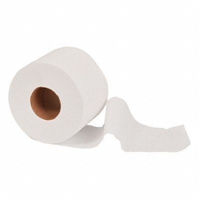 Toilet Paper Rolls