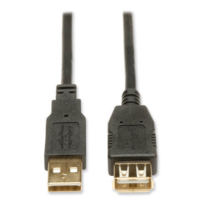 CABLE,USB, EXT, 10FT,BK