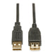 CABLE,USB, EXT, 10FT,BK