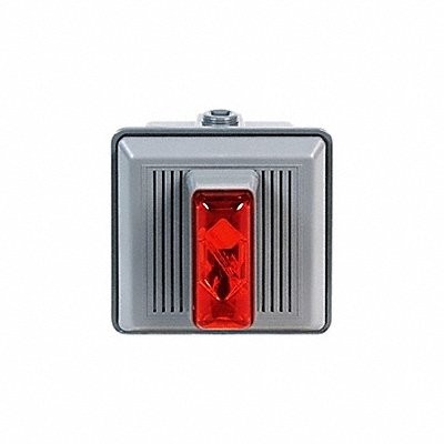 Combination Audible and Visual Alarms